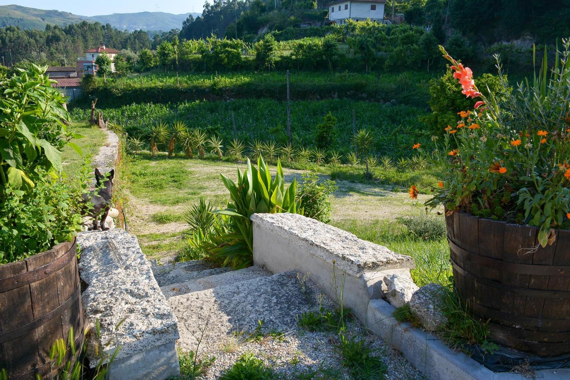 Quinta Do Bairro Villa Vieira do Minho Buitenkant foto